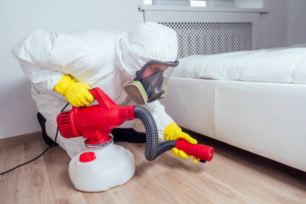 Best Pest Prevention Services  in Holly Springs, GA